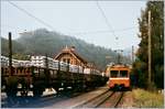 Ein WSB Reionalzug nach Aarau hat den Bahnhof Gränichen erreicht, wo bereits die De 4/4 mit ihrem Güterzug auf den Weiterfahrt nach Menziken wartet.
