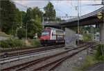 K�nstlerleinwand und Blaumilchkanal... oder so... All das an der Goldk�ste. Stillleben mit RABe 514 040 in Zollikon bei Verlassen des Bahnhofs Z�rich-Tiefenbrunnen. Juli 2023.