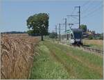 Der LEB RBe 4/8 N° 48 ist als R20 zwischen Bercher und Fey auf dem Weg nach Cheseaux mit Anschluss nach Lausanne per SEV infolge Sommerbauarbeiten.