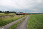 193 925 zieht mit einem Containerzug bei Oberdachstetten vorbei. 02.07.24