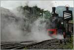 Nochmals die SEG G 2x 2/2 105 der Blonay Chamby Bahn die mich in Chaulin mit einigen  herrlichen Szenen verwöhnte, die einer Dampflok alle Ehre machten.